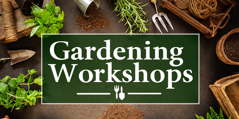 Gardening Workshops